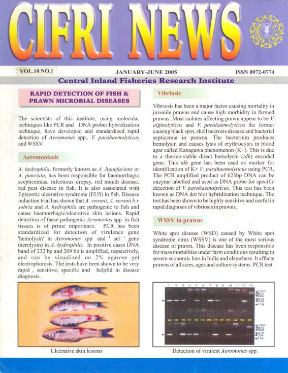 CIFRI News