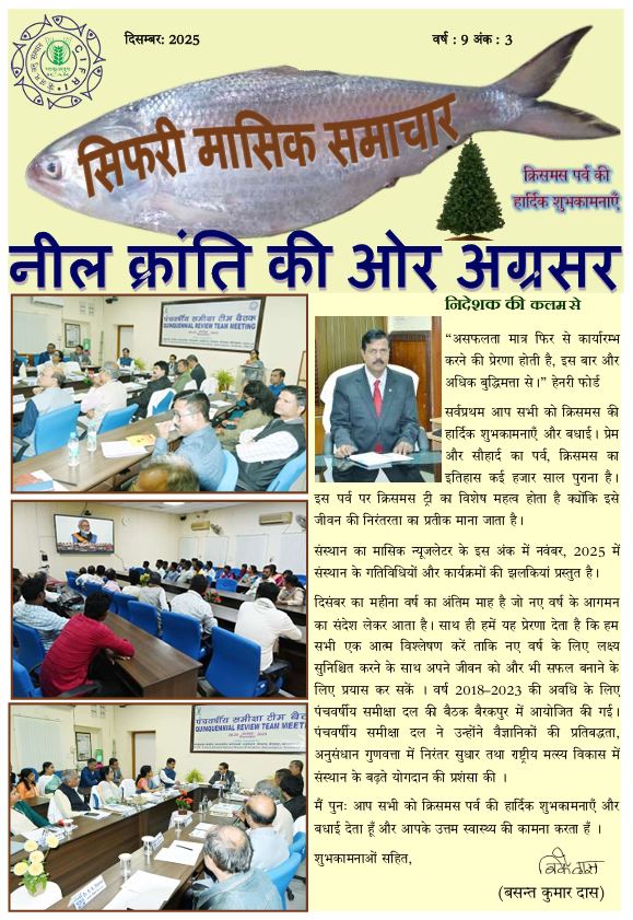 सिफारी मासिक समाचार दिसम्बर